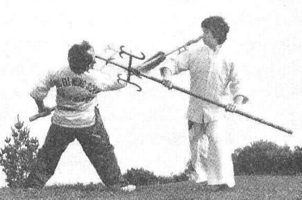 Grandmaster Wong defends an attack from a Spear