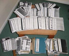 Choy Li Fut Scripts