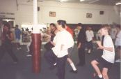 Choy Li Fut seminar