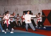 Grandmaster Teaching a Tai Chi Seminar 1997