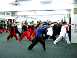 Fist Form Training