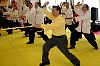 Golden Lion Seminar