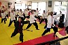 tai chi cane seminar 