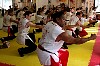the choy li fut kneeing tsop 