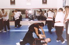 Sifu Jason Wong and Sifu Sebastian Gonz�lez demonstrating the technique