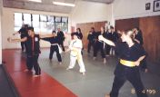 Sifu Jason Wong teaching the Choy Li Fut seminar