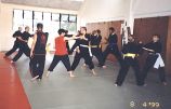 Sifu Jason Wong teaching the fighting techniques