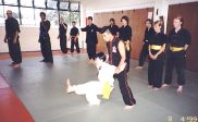 Sifu Jason Wong teaching balancing of the form