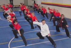 Click Here to See Photos of Seminars by Grandmaster Wong