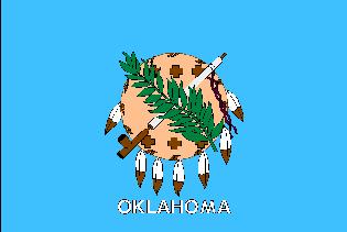 Minnesota State Flag