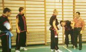 Chin-na (joint locking) seminar