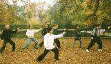 Tai Chi seminar in the park