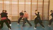 Choy Li Fut seminar