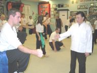 Choy Li Fut Seminar