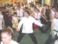 Choy Li Fut Sow-Chui