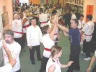 Choy Li Fut Tsop-Chui