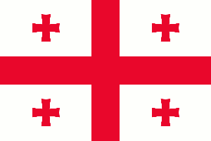 Georgia Flag