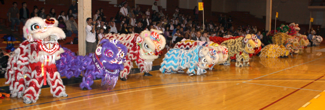 15lions